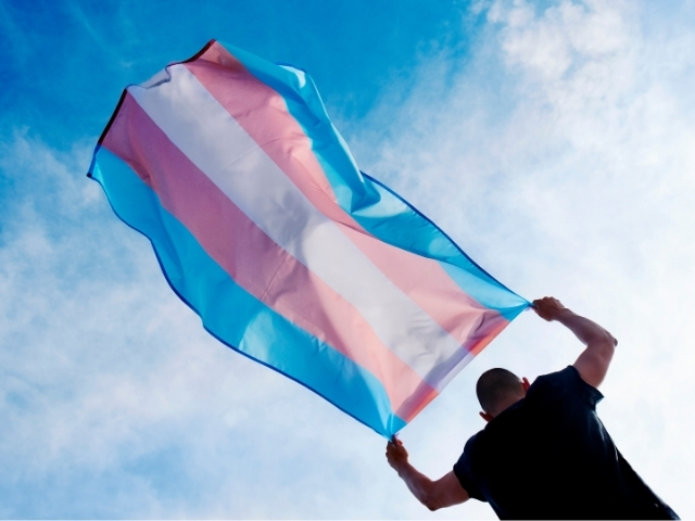 A person holding the transgender pride flag, which has blue, pink and white stripes.