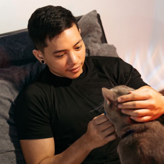 A young person with brown skin wearing a tight black tshirt sits on a couch and pats a cat.