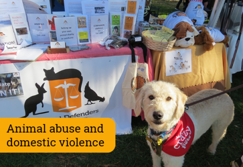 Animal abuse and domestic violence