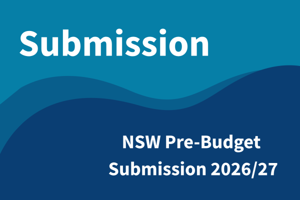 Blue wave shapes with text reading 'Submission: NSW Pre-Budget Submission 2026-2027'